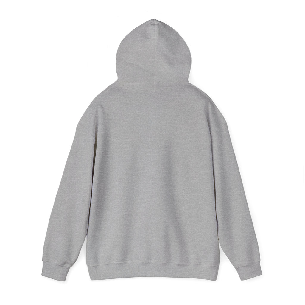 Mens Faith Hooded Sweatshirt — "Walk by Faith, Not by Sight" Christian Hoodie