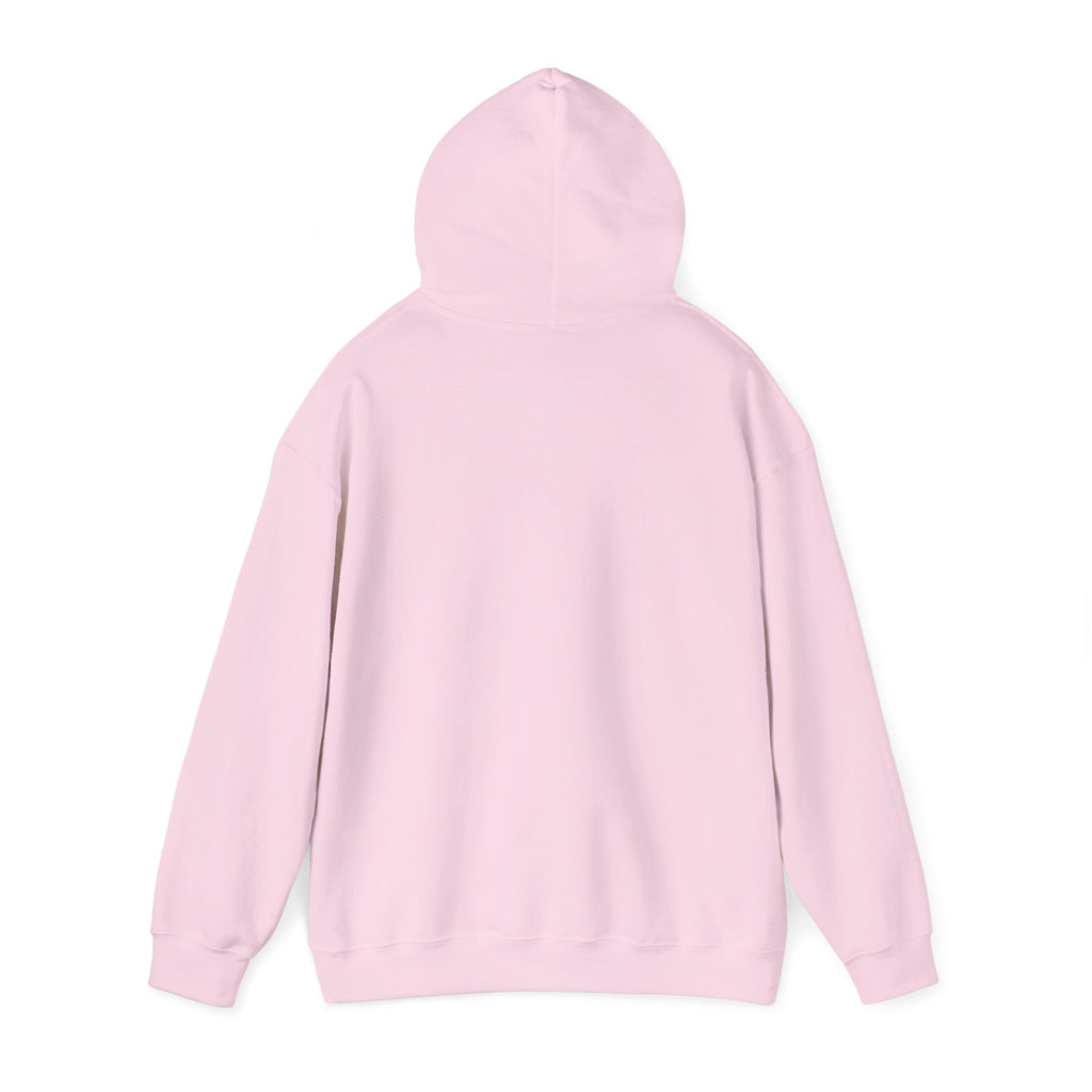 Mens Run Toward the Roar Hoodie — Christian Lion Faith Sweatshirt