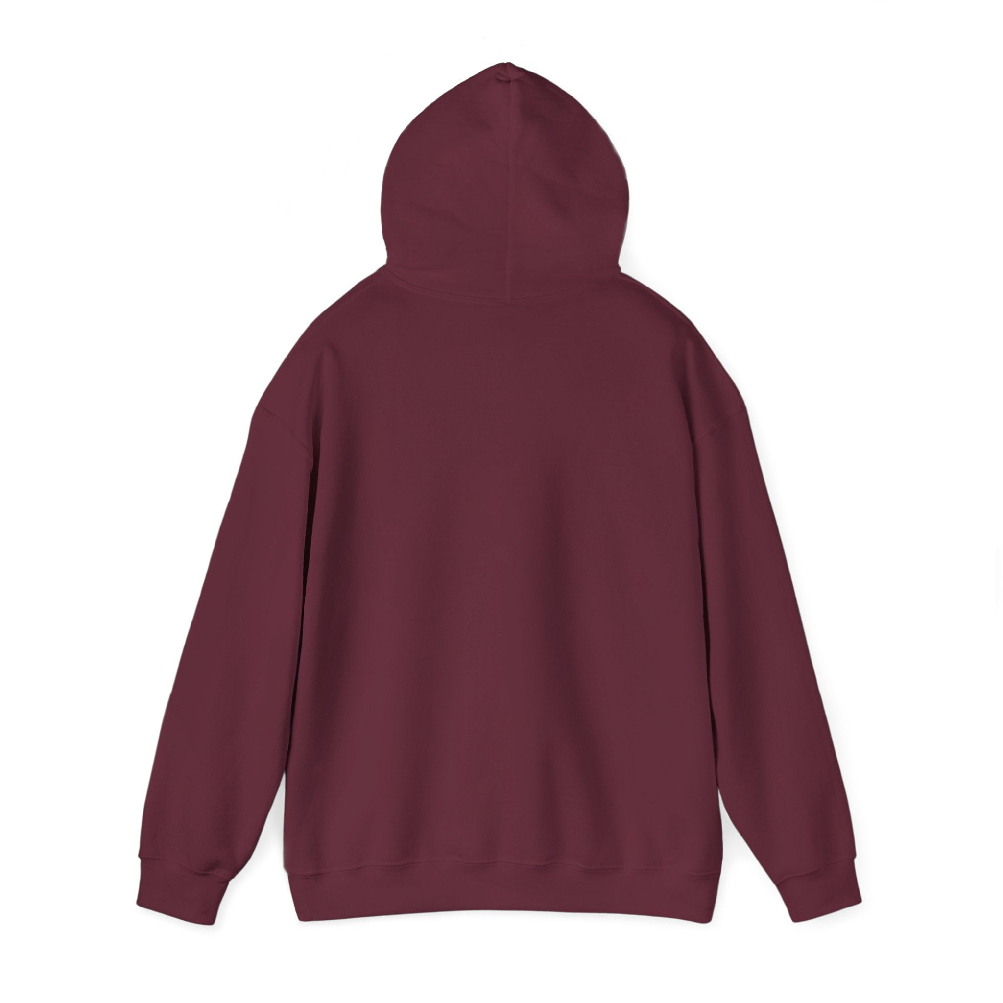 Mens Faith Hooded Sweatshirt — "Walk by Faith, Not by Sight" Christian Hoodie