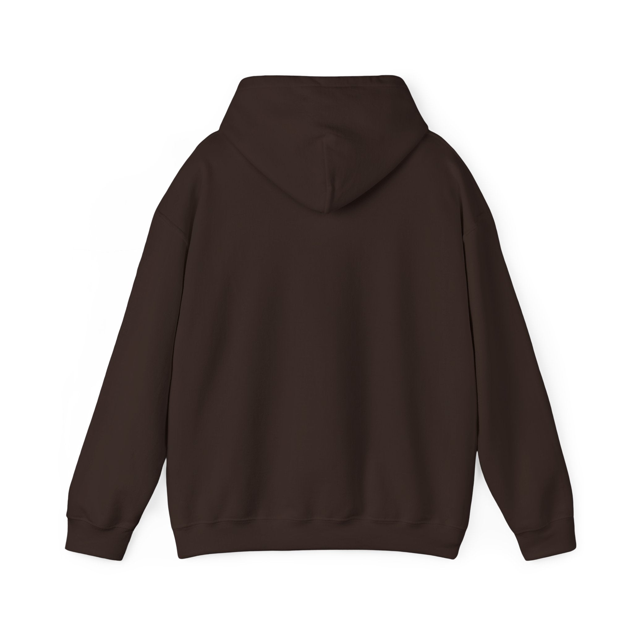 Mens Seek First the Kingdom Hoodie — Matthew 6:33 Christian Faith Pullover