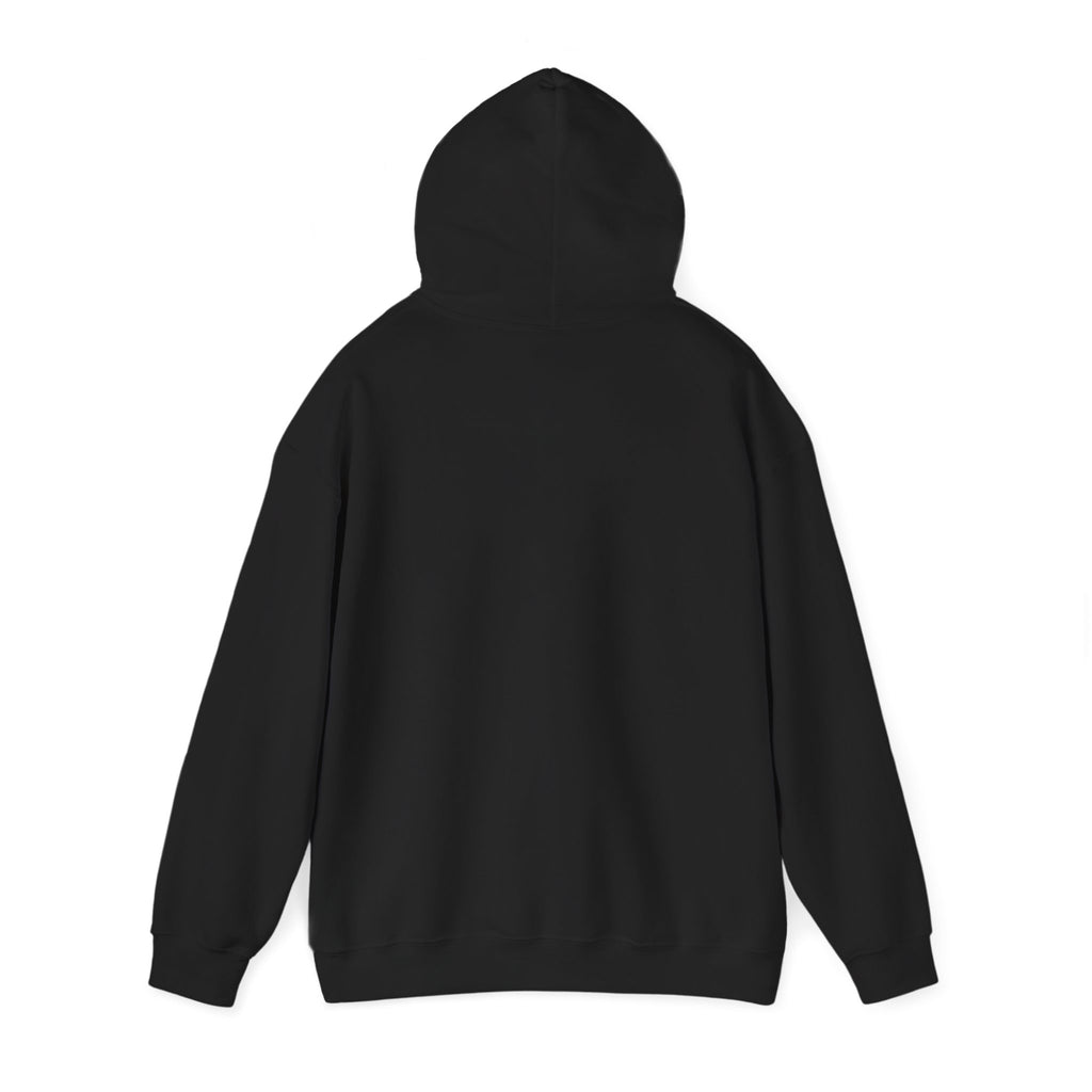 Mens Run Toward the Roar Hoodie — Christian Lion Faith Sweatshirt