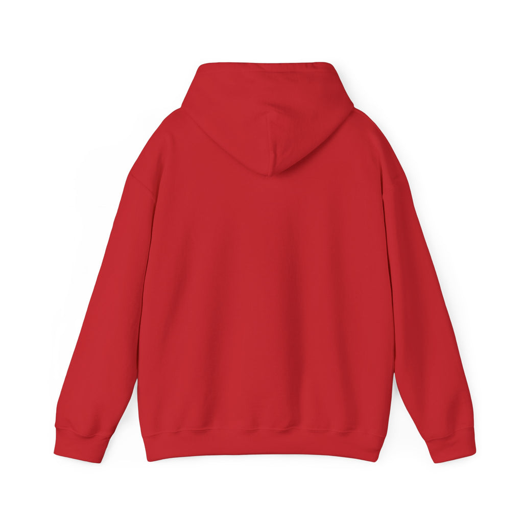 Mens Run Toward the Roar Hoodie — Christian Lion Faith Sweatshirt