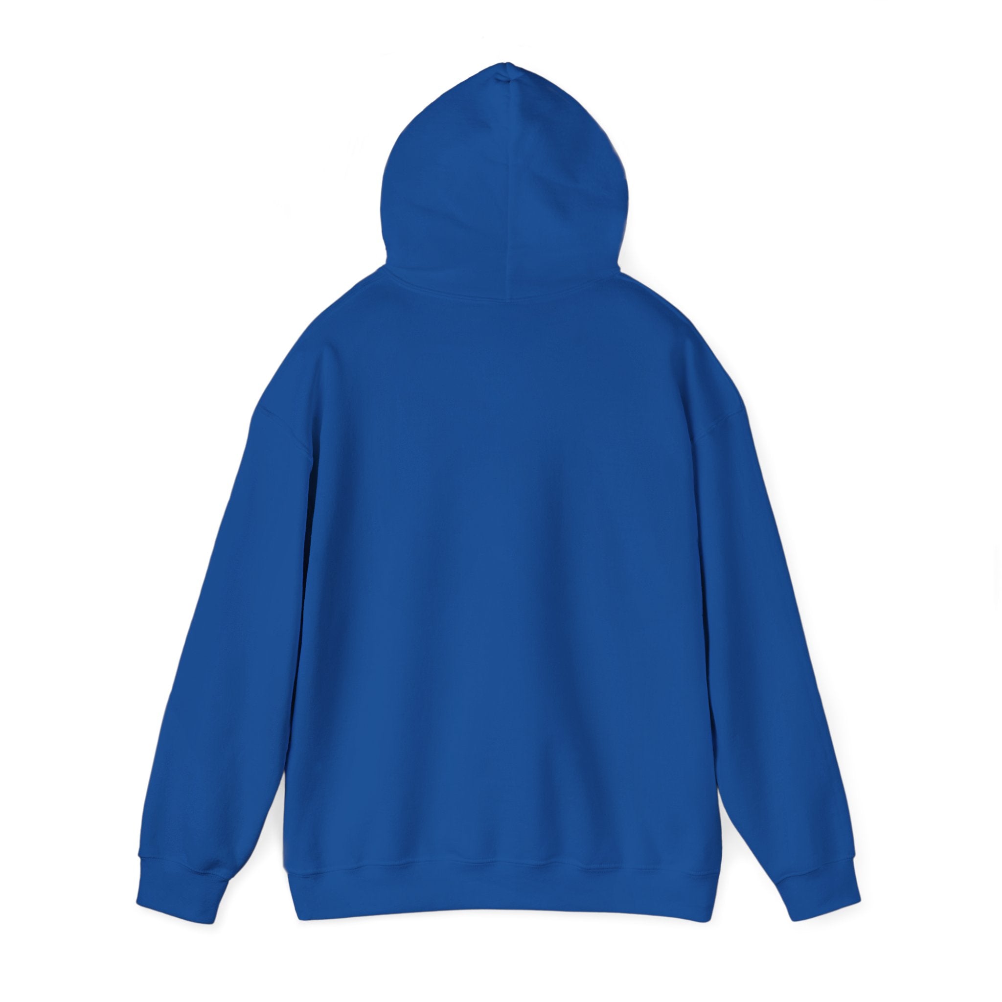 Mens Seek First the Kingdom Hoodie — Matthew 6:33 Christian Faith Pullover